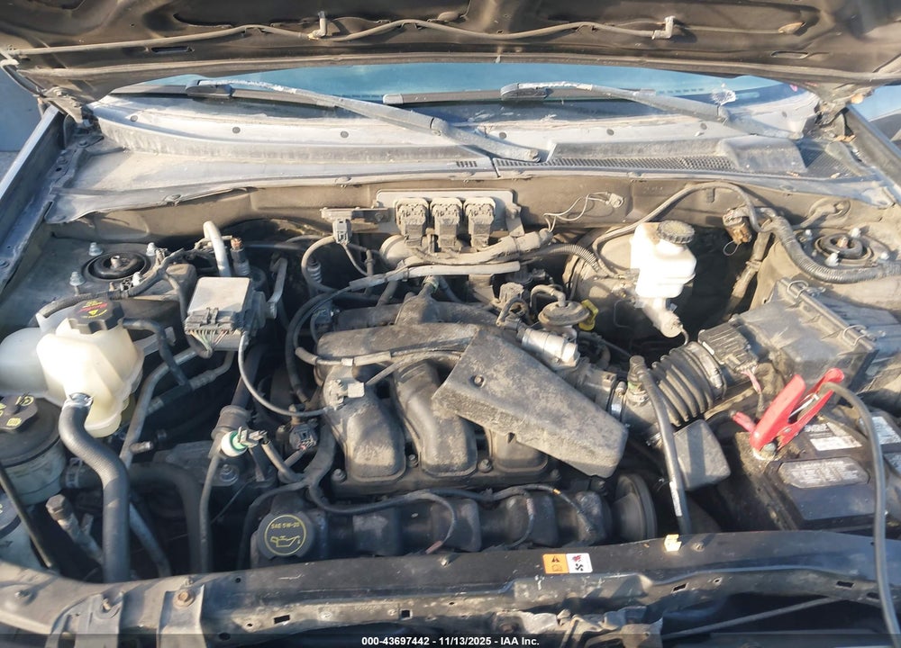 2005 FORD ESCAPE XLT VIN: 1FMYU03115KC10481