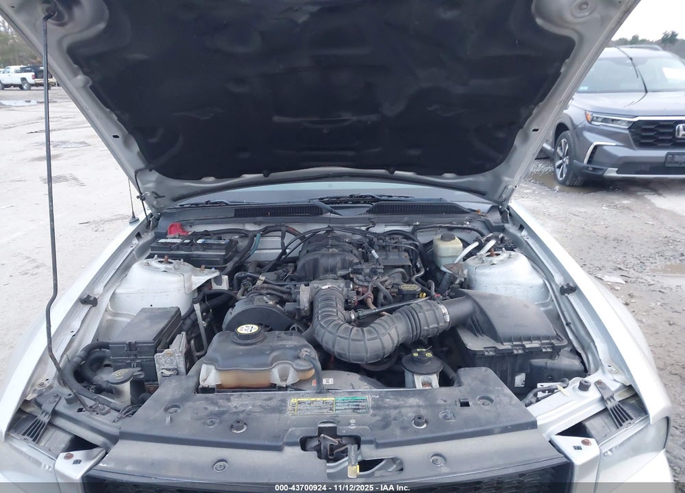 2005 FORD MUSTANG V6 DELUXE/V6 PREMIUM VIN: 1ZVFT80N655144803