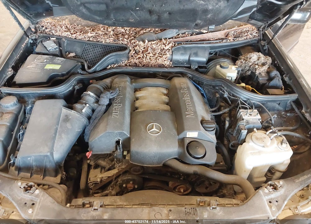 1999 MERCEDES-BENZ E 320 VIN: WDBJF65H5XA891197