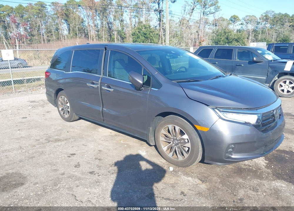 2024 HONDA ODYSSEY EX-L VIN: 5FNRL6H65RB048473