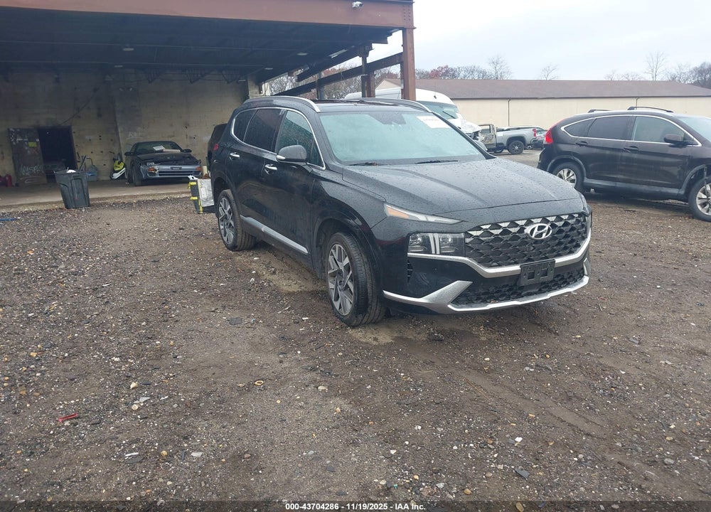 2023 HYUNDAI SANTA FE CALLIGRAPHY VIN: 5NMS5DAL0PH649396