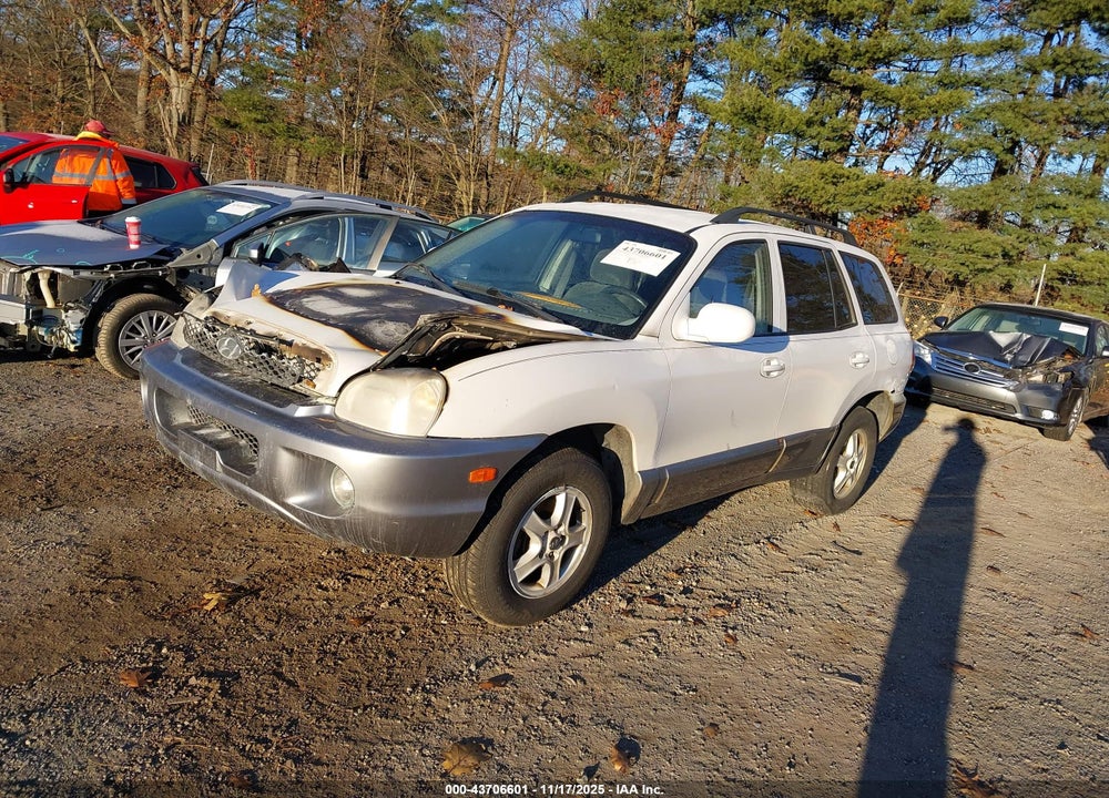 2003 HYUNDAI SANTA FE GLS/LX VIN: KM8SC73E93U488499