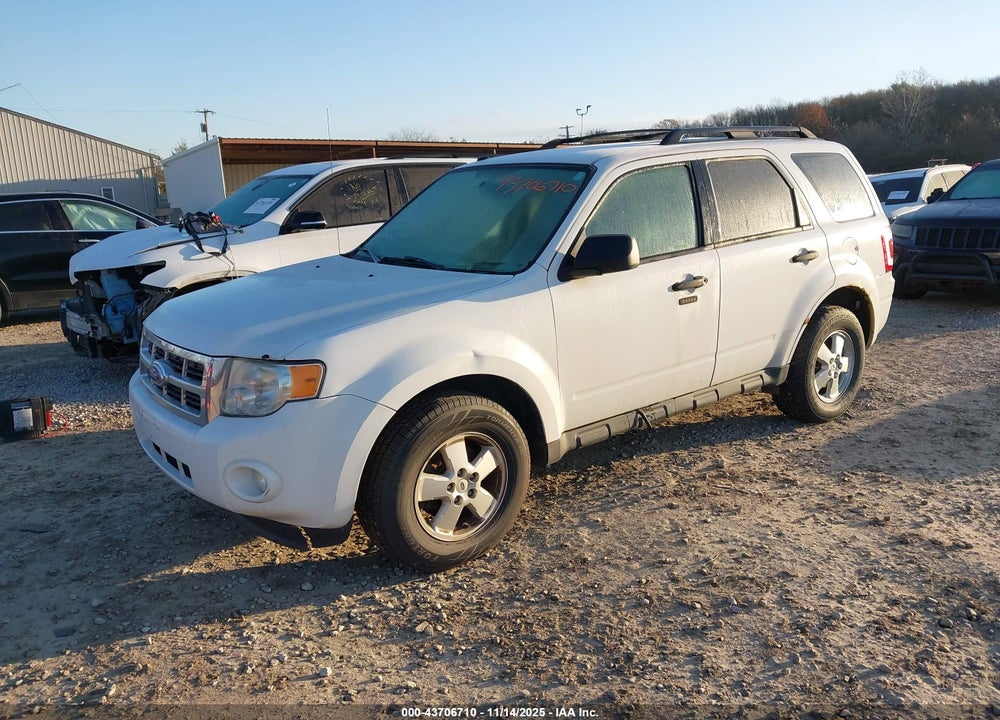 2011 FORD ESCAPE XLT VIN: 1FMCU0D71BKB93013