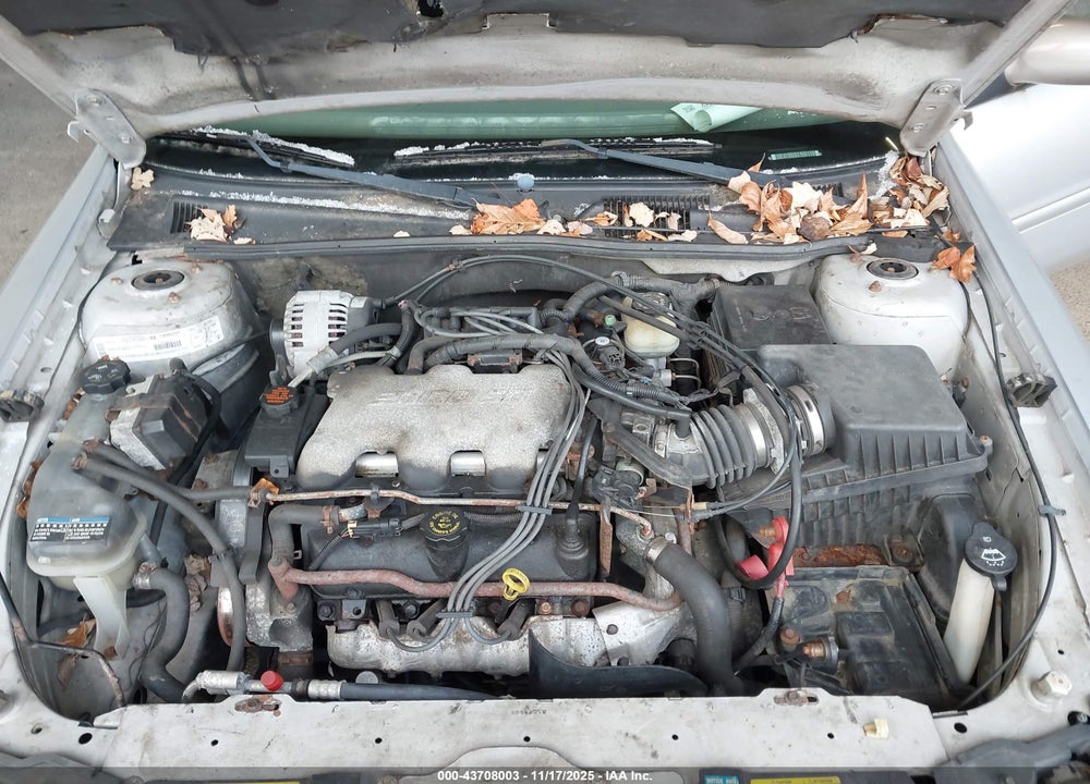 2002 CHEVROLET MALIBU LS VIN: 1G1NE52J02M517233