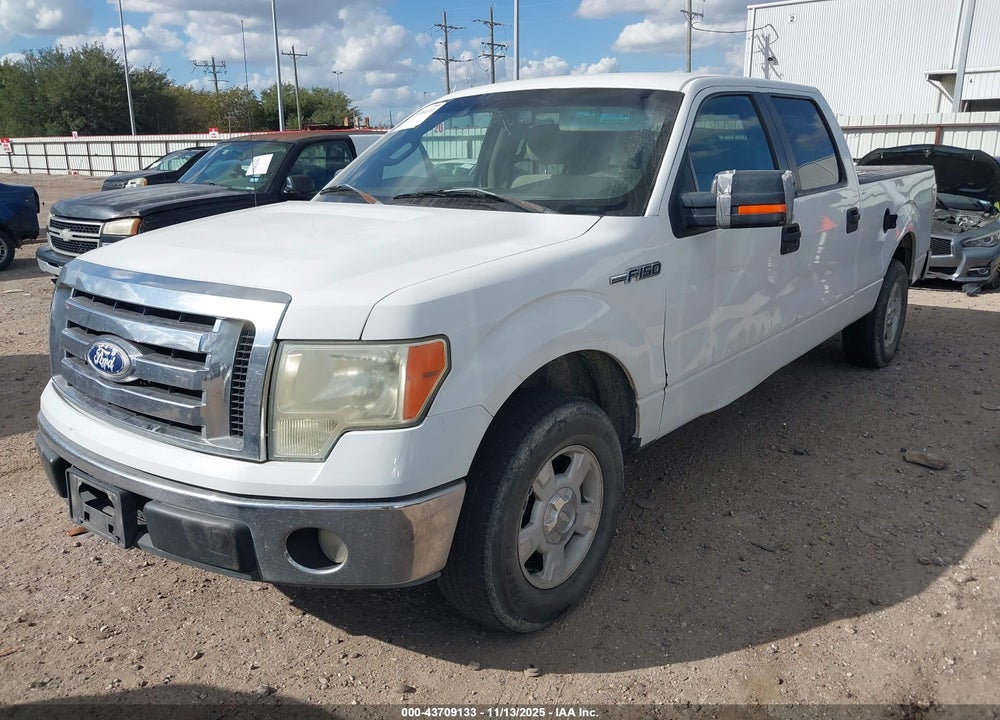 2010 FORD F-150 VIN: 1FTEW1C89AFB77737