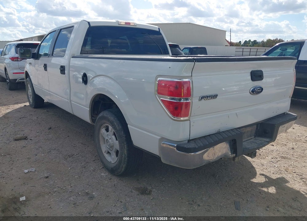 2010 FORD F-150 VIN: 1FTEW1C89AFB77737