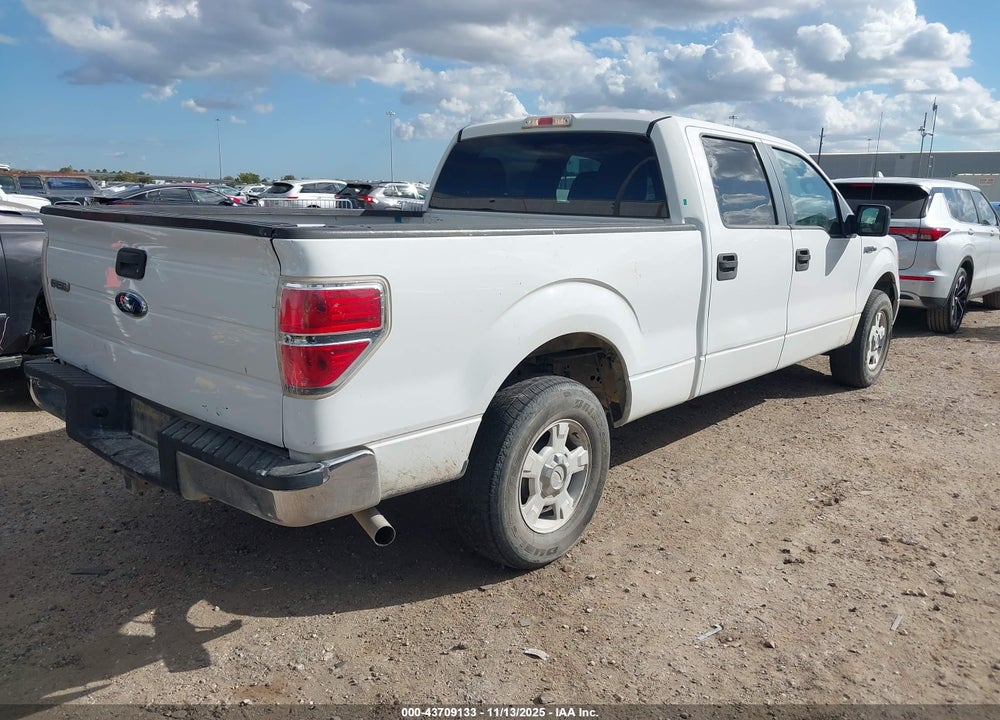 2010 FORD F-150 VIN: 1FTEW1C89AFB77737