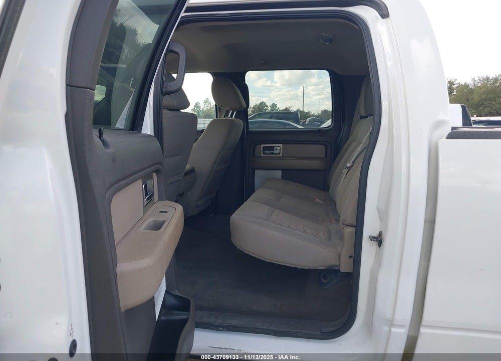 2010 FORD F-150 VIN: 1FTEW1C89AFB77737