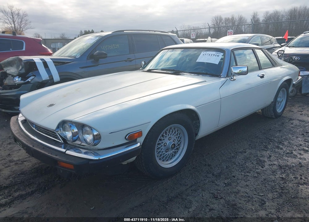 1989 JAGUAR XJS VIN: SAJNA5845KC150289