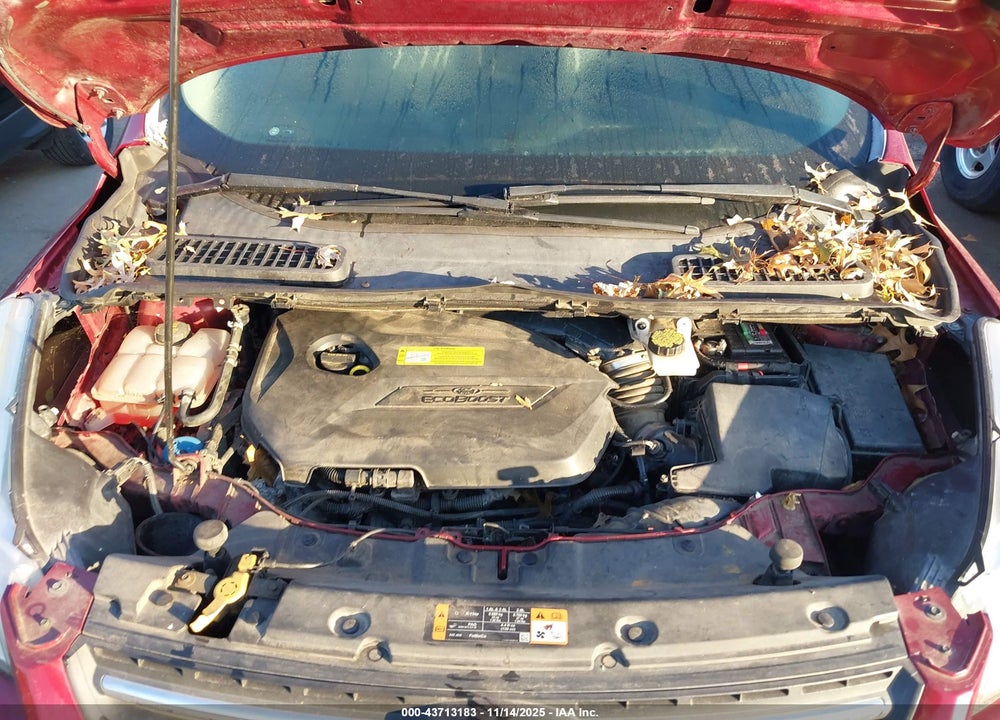 2014 FORD ESCAPE VIN: 1FMCU0GX9EUB69711