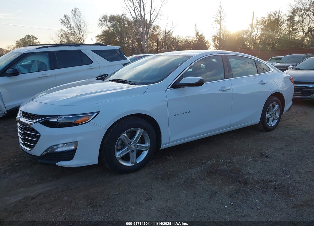 2024 CHEVROLET MALIBU FWD 1LT VIN: 1G1ZD5ST1RF128816