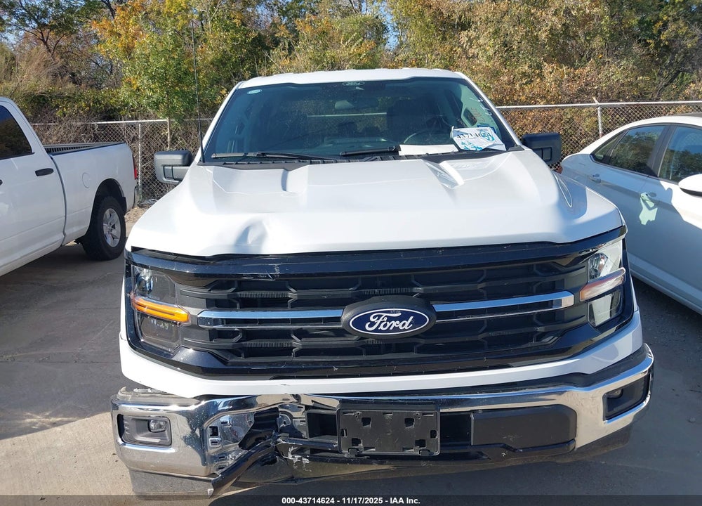 2025 FORD F-150 VIN: 1FTEW3KP6SKE06100