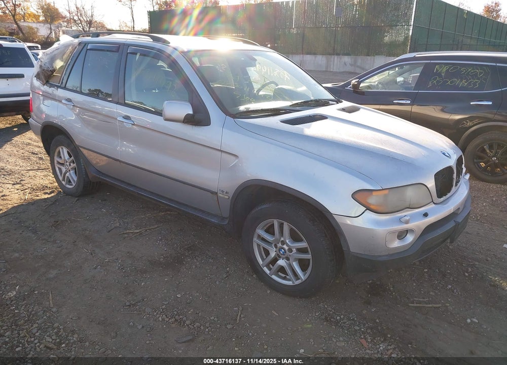 2006 BMW X5 3.0I VIN: 5UXFA13506LY24218