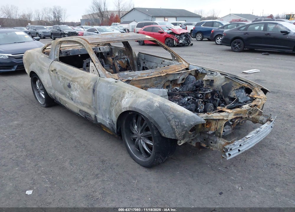 2006 FORD MUSTANG GT VIN: 1ZVFT82H365133766