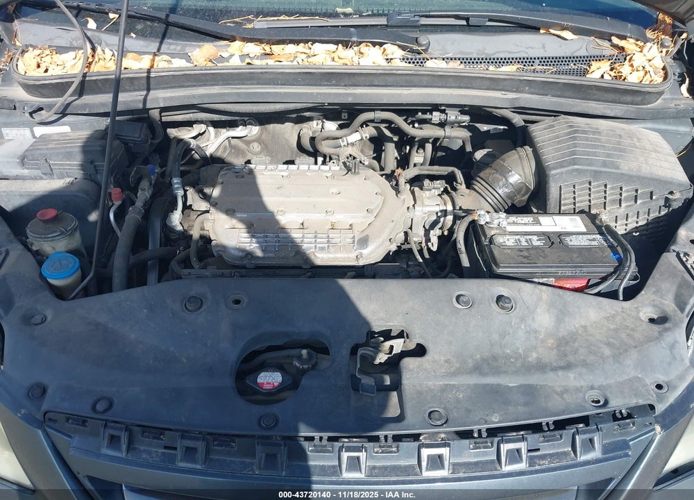 2006 HONDA ODYSSEY EX VIN: 5FNRL38486B445393