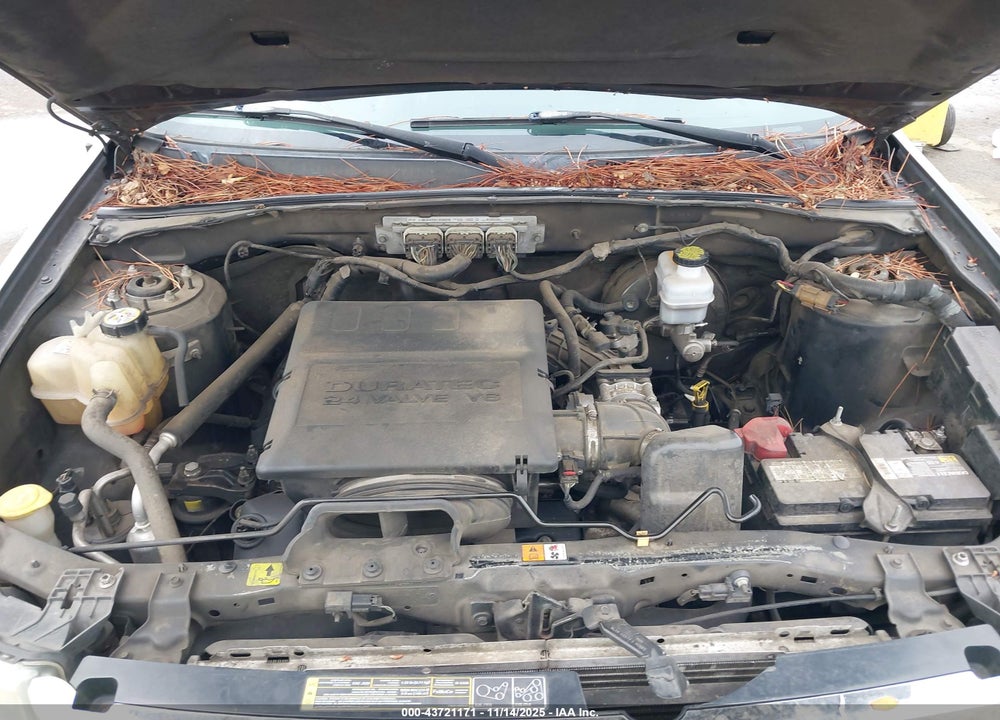 2010 FORD ESCAPE LIMITED VIN: 1FMCU0EG1AKA45571