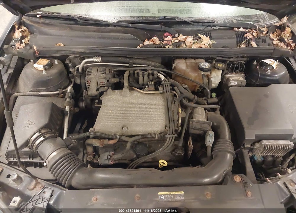 2005 CHEVROLET MALIBU MAXX LT VIN: 1G1ZU64895F141578