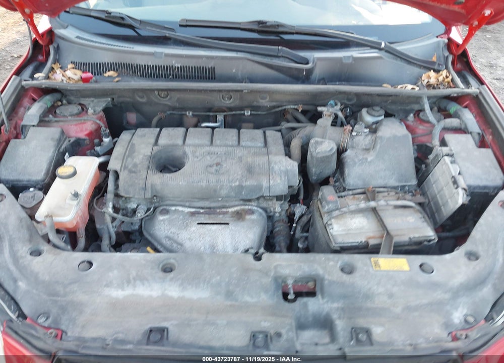2011 TOYOTA RAV4 VIN: 2T3BF4DV9BW144665