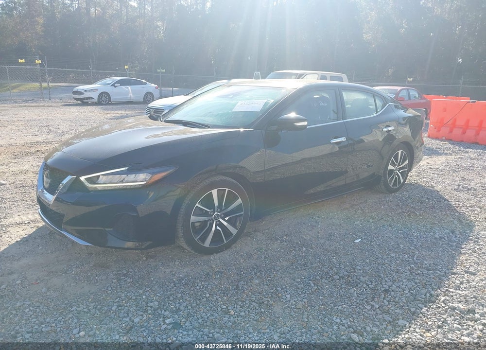 2023 NISSAN MAXIMA VIN: 1N4AA6CV9PC508977