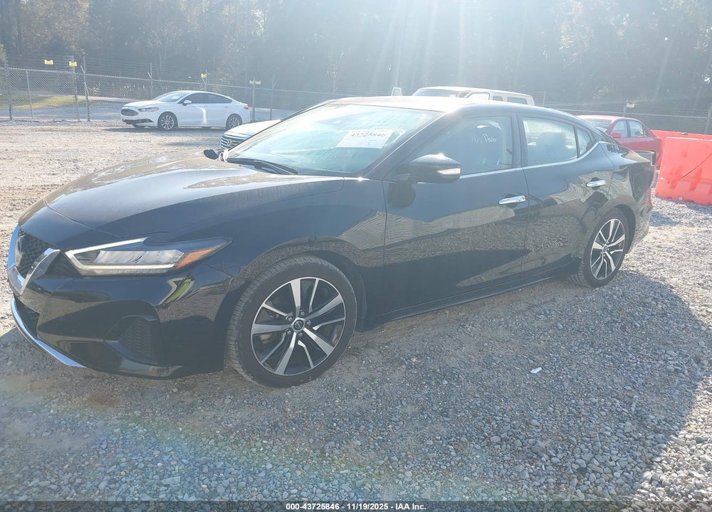 2023 NISSAN MAXIMA VIN: 1N4AA6CV9PC508977