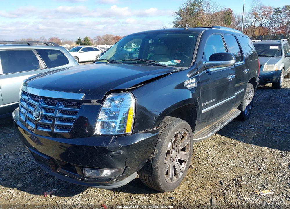 2009 CADILLAC ESCALADE STANDARD VIN: 1GYFK23229R104716