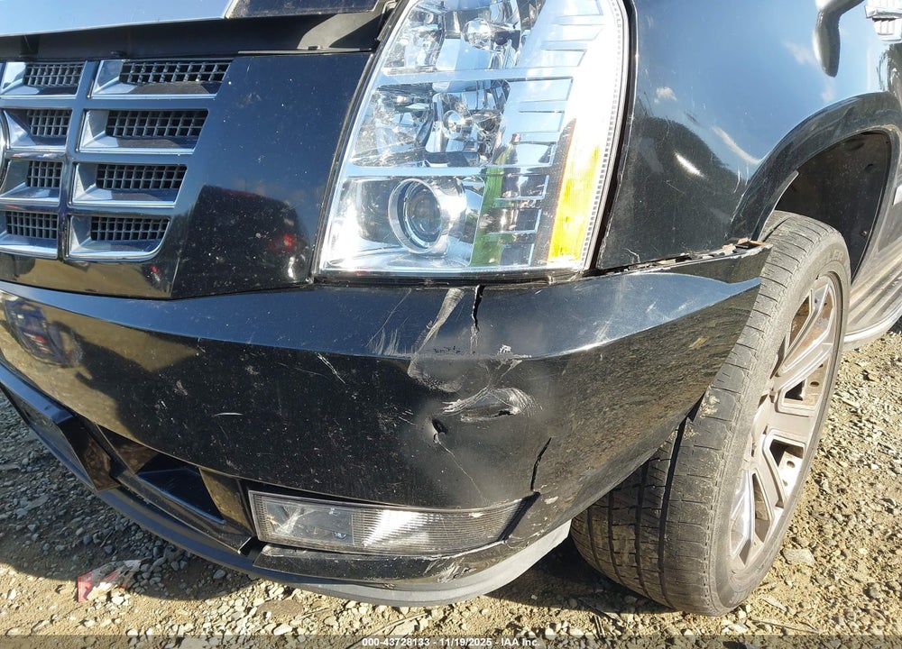 2009 CADILLAC ESCALADE STANDARD VIN: 1GYFK23229R104716