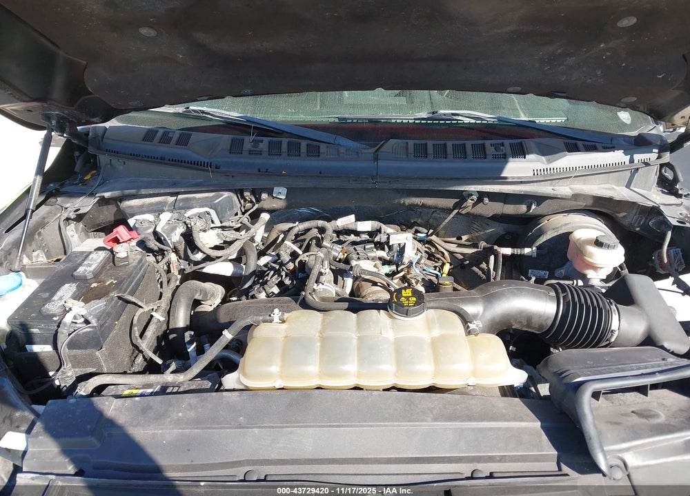 2020 FORD F-150 VIN: 1FTEW1CP9LKE69762