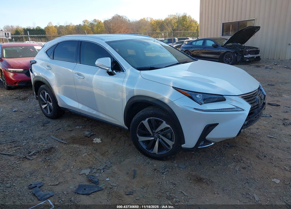 2020 LEXUS NX 300 VIN: JTJGARDZ4L5006719