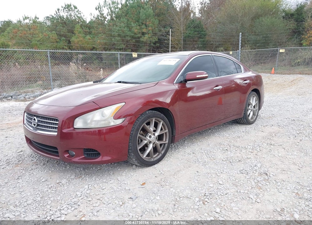 2010 NISSAN MAXIMA 3.5 SV VIN: 1N4AA5AP8AC823159