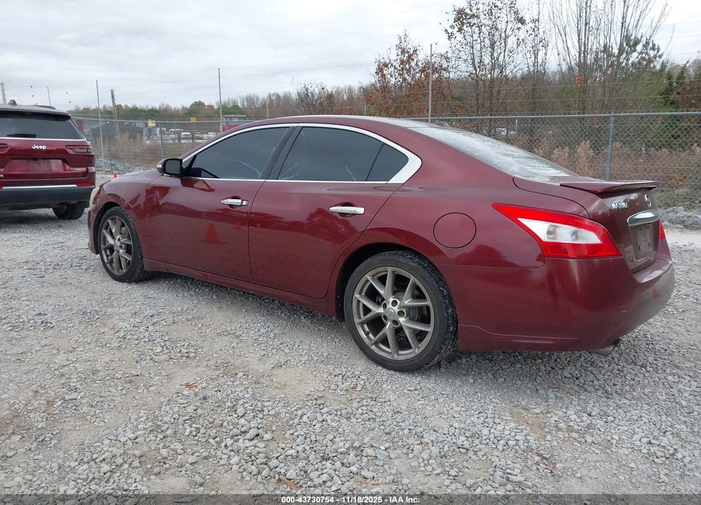 2010 NISSAN MAXIMA 3.5 SV VIN: 1N4AA5AP8AC823159