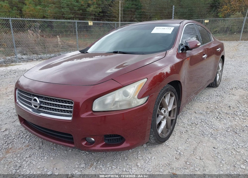 2010 NISSAN MAXIMA 3.5 SV VIN: 1N4AA5AP8AC823159