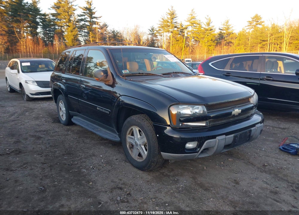 2002 CHEVROLET TRAILBLAZER LTZ VIN: 1GNDT13SX22510561