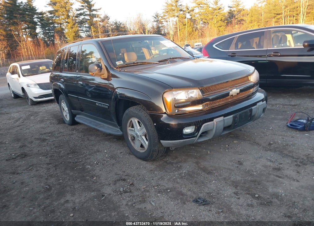 2002 CHEVROLET TRAILBLAZER LTZ VIN: 1GNDT13SX22510561