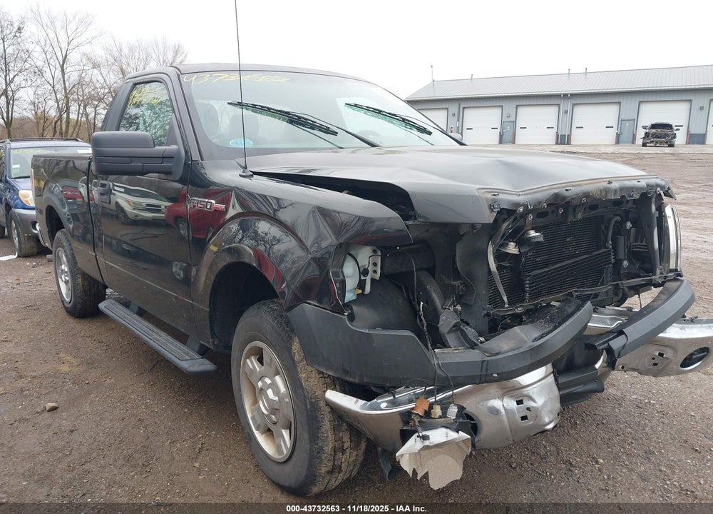 2013 FORD F-150 XL VIN: 1FTMF1CM1DFB50559