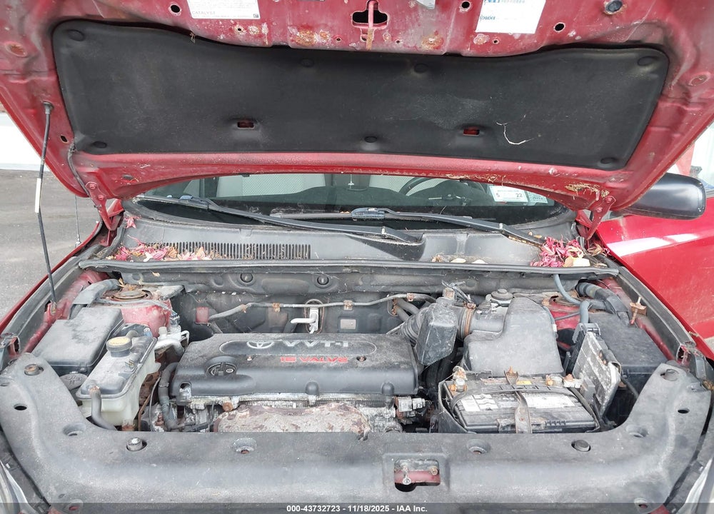 2006 TOYOTA RAV4 VIN: JTMBD33V365024777