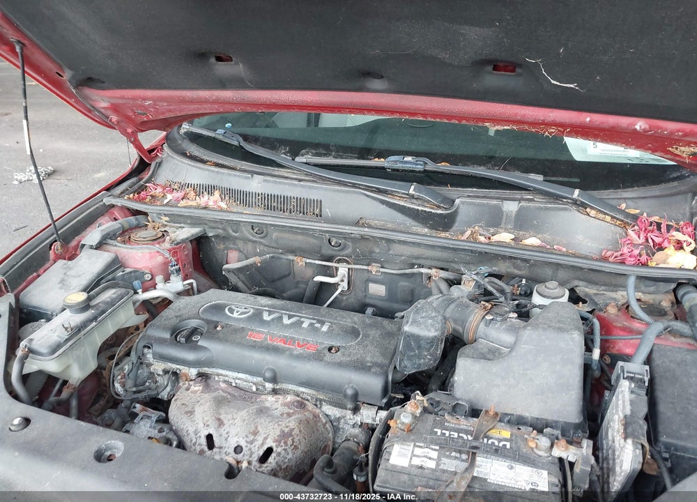 2006 TOYOTA RAV4 VIN: JTMBD33V365024777