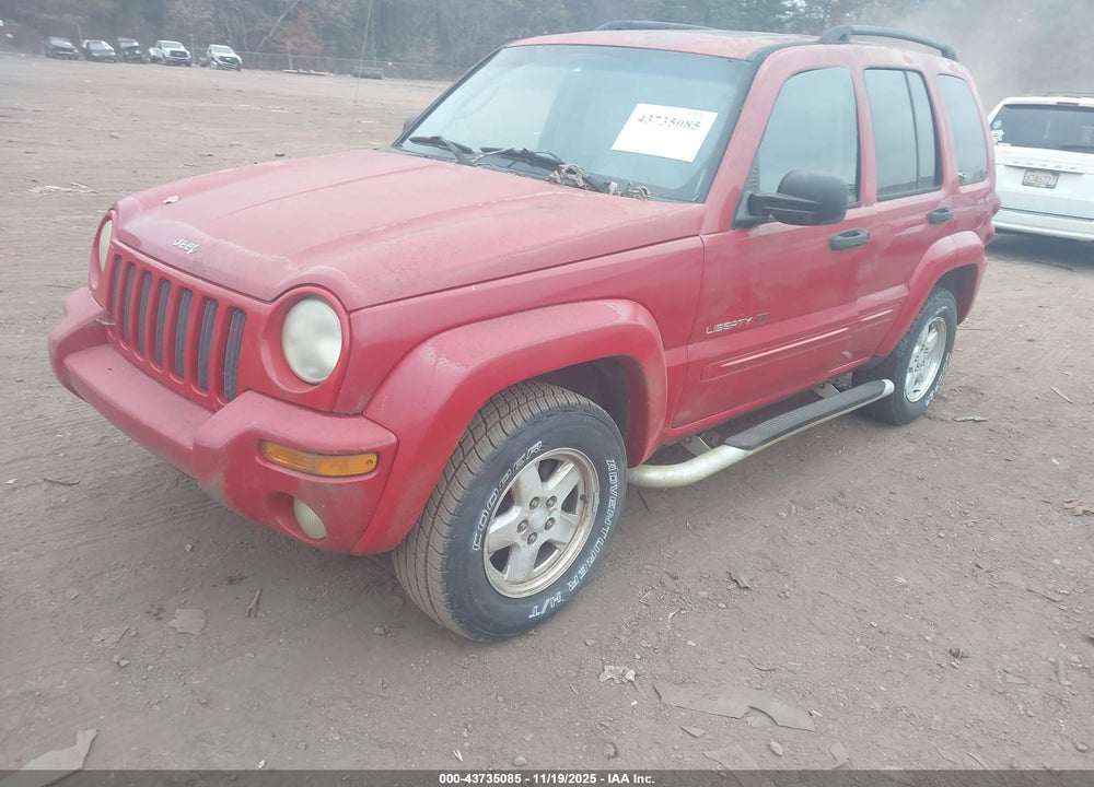 2002 JEEP LIBERTY LIMITED EDITION VIN: 1J4GK58K22W306056
