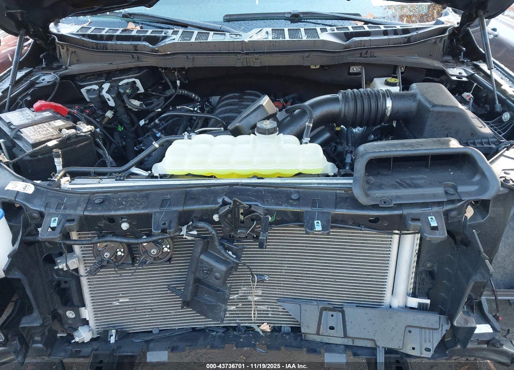 2025 FORD F-150 XLT VIN: 1FTFW3L51SKE27843