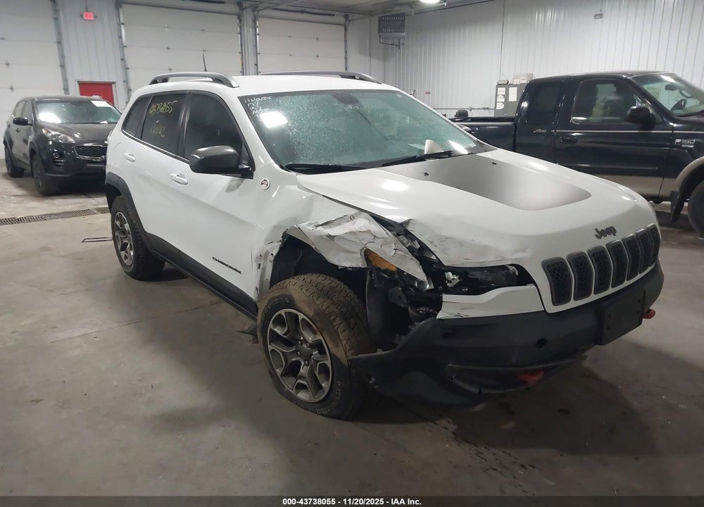 2020 JEEP CHEROKEE TRAILHAWK 4X4 VIN: 1C4PJMBX1LD581891