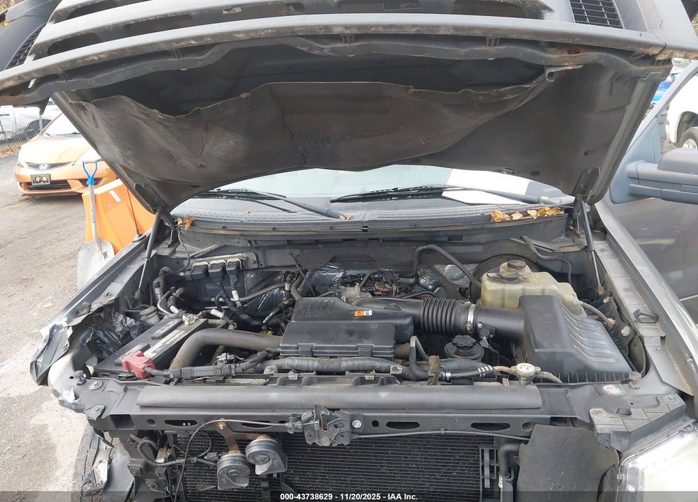 2009 FORD F-150 STX/XL VIN: 1FTRX12W09FA53026