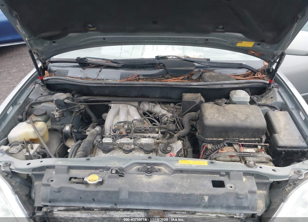 2002 LEXUS RX 300 VIN: JTJHF10UX20263087