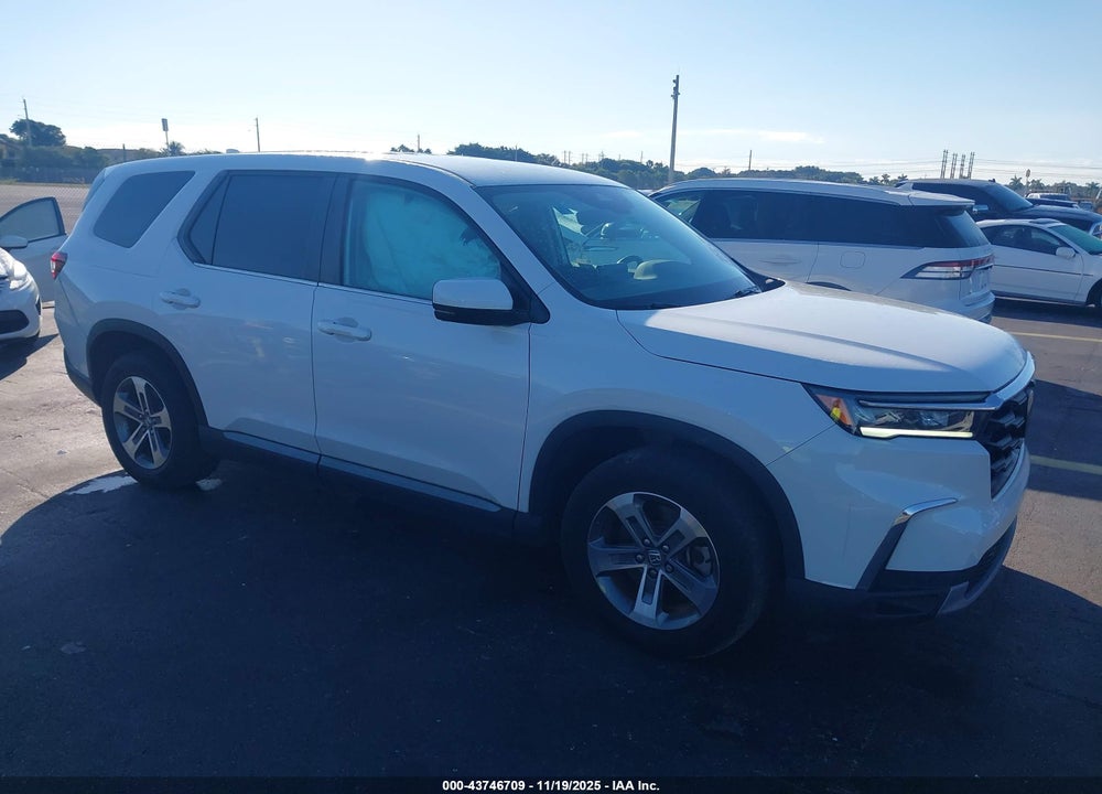 2024 HONDA PILOT EX-L 7 PASSENGER VIN: 5FNYG2H56RB003283