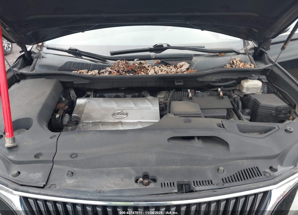 2010 LEXUS RX 350 VIN: 2T2BK1BA7AC038651