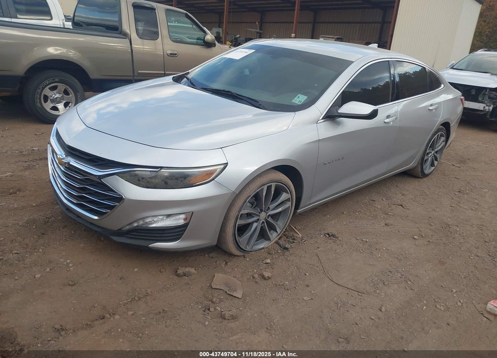 2019 CHEVROLET MALIBU LIMITED VIN: 1G1ZD5ST8KF110447