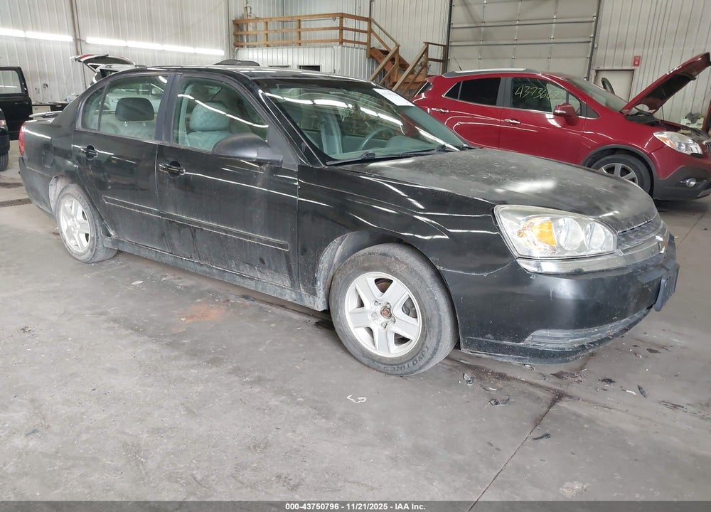 2004 CHEVROLET MALIBU LS VIN: 1G1ZT54824F127906