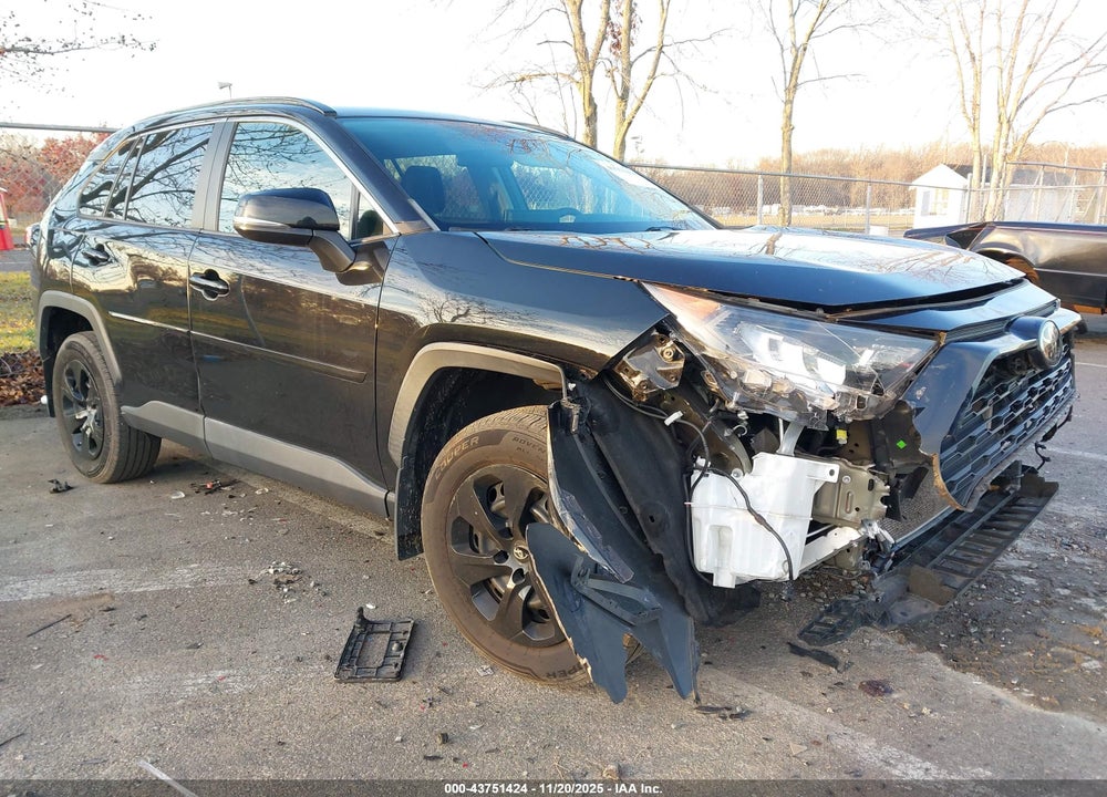 2019 TOYOTA RAV4 LE VIN: 2T3G1RFV4KW065533