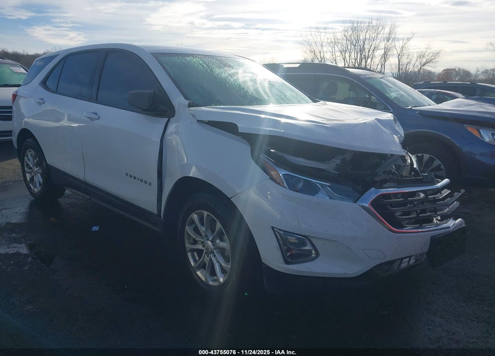 2019 CHEVROLET EQUINOX LS VIN: 2GNAXSEV3K6307194