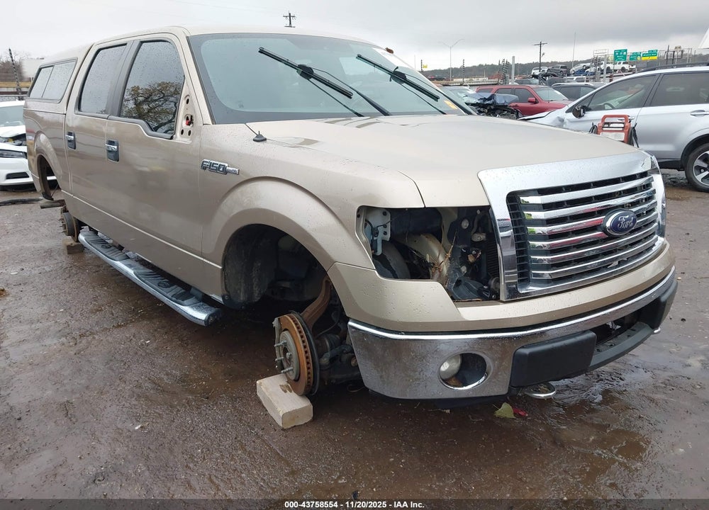 2012 FORD F-150 XLT VIN: 1FTFW1EF8CFC56223