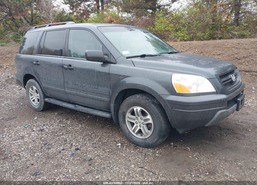 2004 HONDA PILOT EX-L VIN: 5FNYF18694B007939