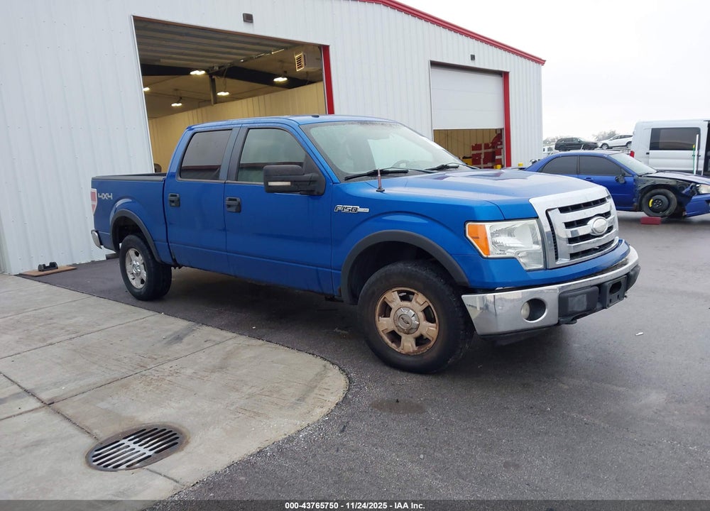 2009 FORD F-150 XLT VIN: 1FTPW14V39FA50264